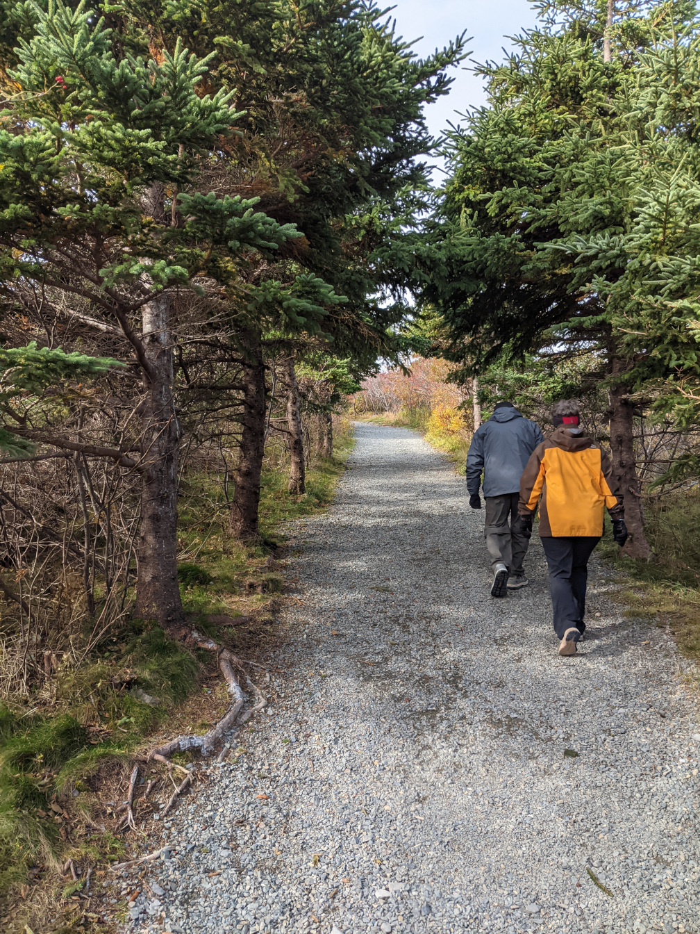 2 People Walking on Pathway in Forest
